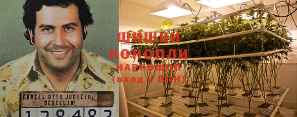 spice Вязники