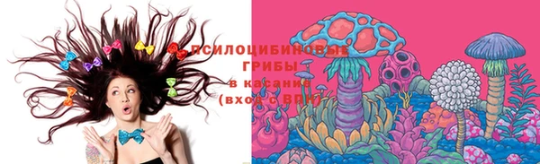 spice Вязники